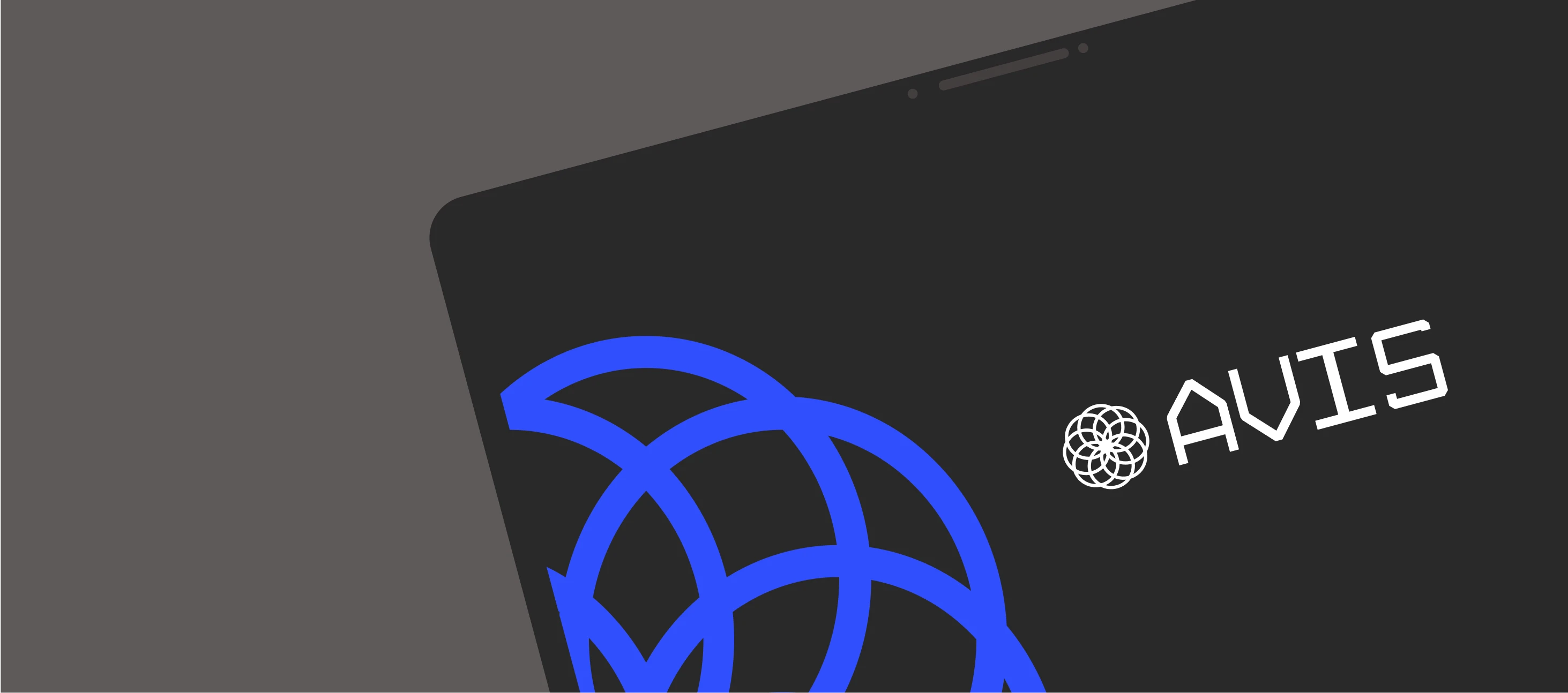 AVIS — Ai. — House of Hiero case study